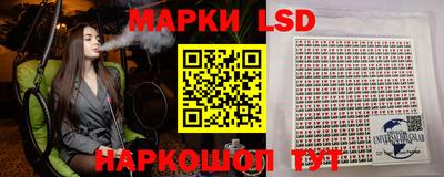 Альфа ПВП Малгобек