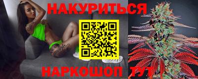 Альфа ПВП Малгобек