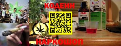 Альфа ПВП Малгобек