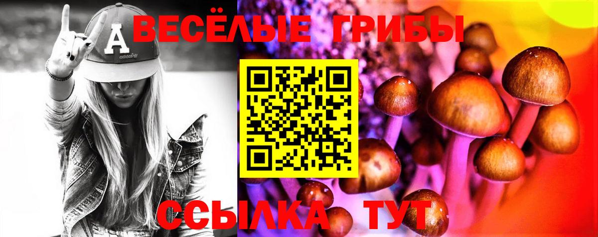 Морозовск  Псилоцибиновые грибы MAGIC MUSHROOMS  где купить   Вход с VPN 